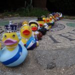 The LBS Duck Race 2023 is here – have you won?